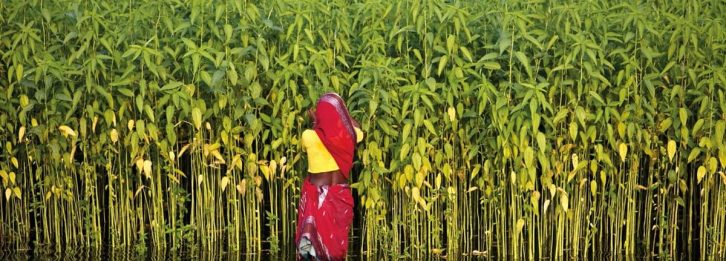 1b0b470736294766ae9e28449d1c680f